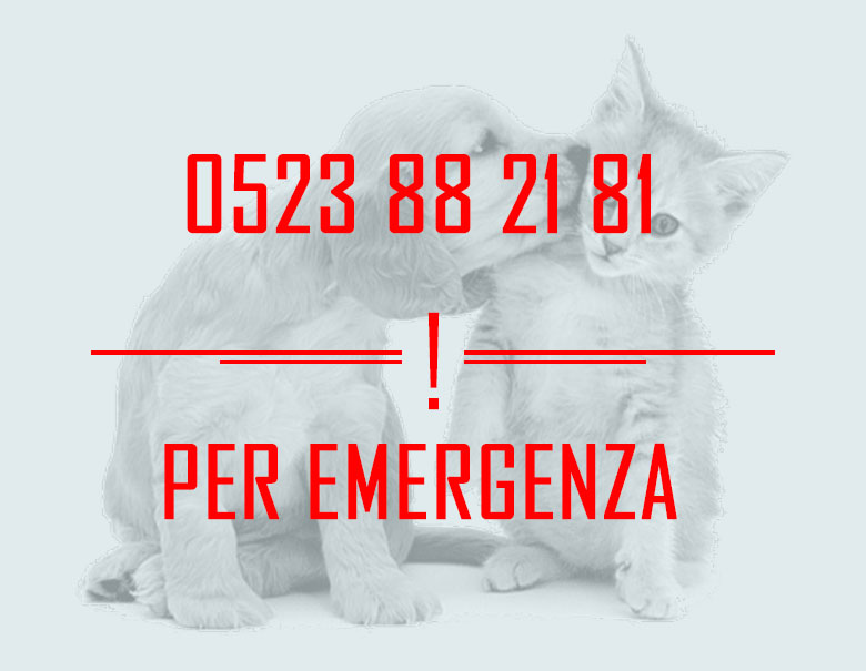 Clinica Veterinaria Zani Amboini- Centro TAC - Soccorso 24h