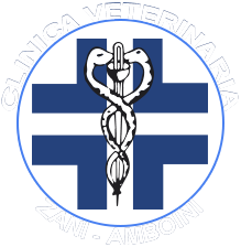 Clinica Veterinaria Zani Amboini- Centro TAC - Soccorso 24h